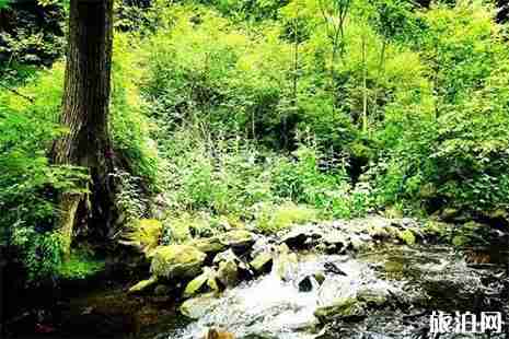 2019黑龍江鳳凰山6月17日免門票 附游玩攻略