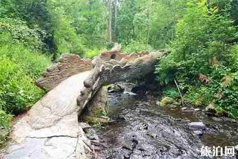 2019黑龍江鳳凰山6月17日免門票 附游玩攻略