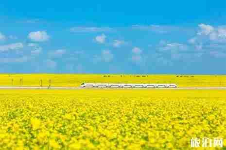 2019年7月去哪里旅游好