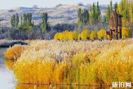 寧夏黃沙古渡景區(qū)旅游直通車信息 價格+發(fā)車時間