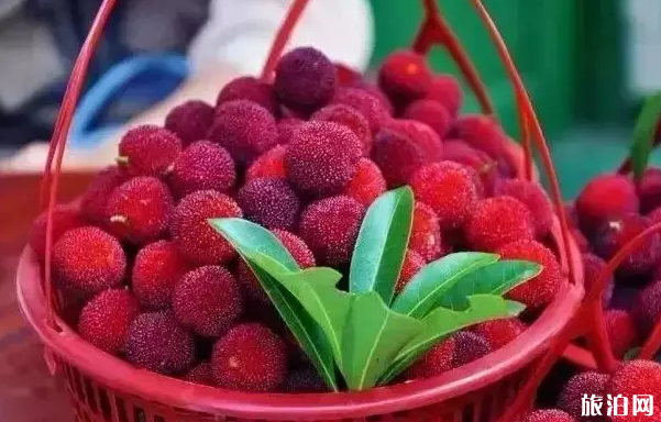 2019常州憑準(zhǔn)考證景點免票名單