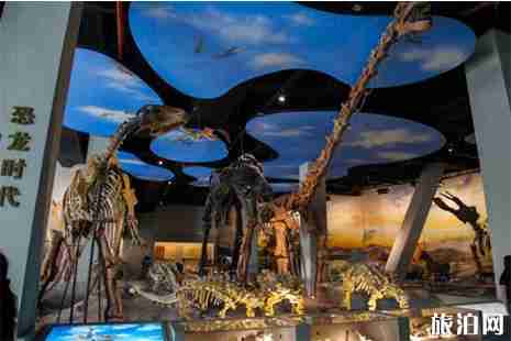 山西地質博物館觀展指南 山西地質博物館觀展指南