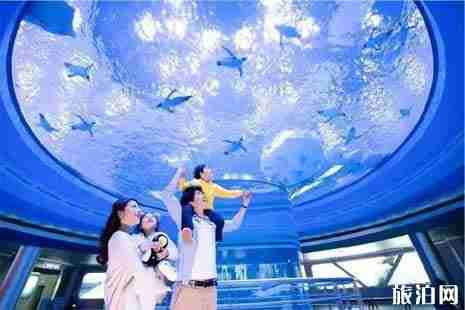 2019上海高考生优惠景点+周边优惠景点整理