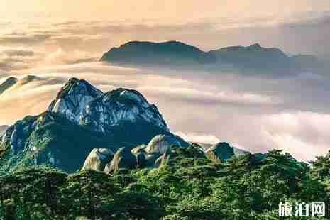 2019上海高考生优惠景点+周边优惠景点整理 2019上海高考生优惠景点+周边优惠景点整理