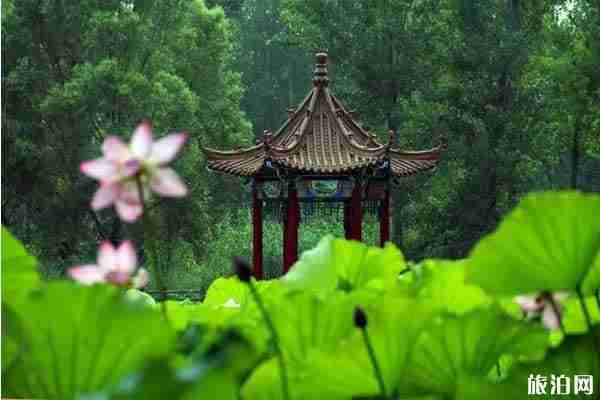 2019高考生優惠景點整理推薦