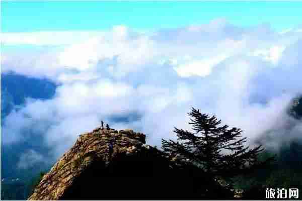 2019高考生優惠景點整理推薦