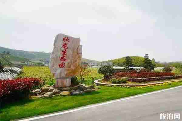 2019溧陽曹山楊梅采摘節6月15日開啟