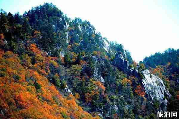 秦嶺最受歡迎的景點 秦嶺游玩線路推薦 秦嶺最受歡迎的景點 秦嶺游玩線路推薦