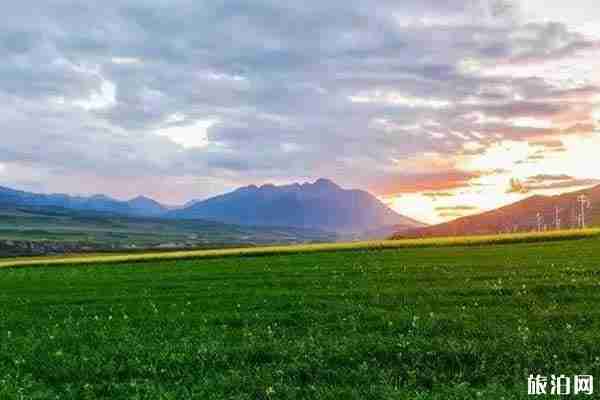 夏季草原旅游攻略推薦