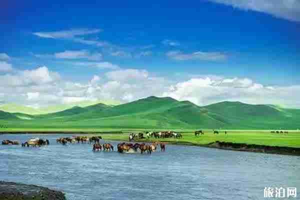 夏季草原旅游攻略推薦