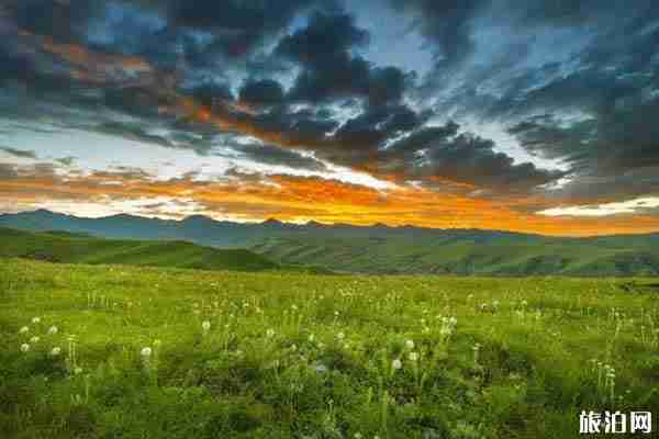 夏季草原旅游攻略推薦