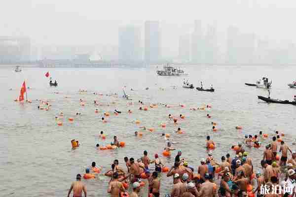 橫渡錢塘江2019報名時間+比賽時間+報名指南