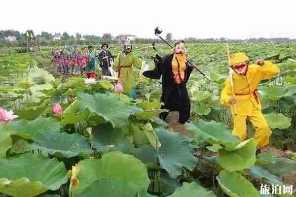2019北京順義荷花觀賞攻略