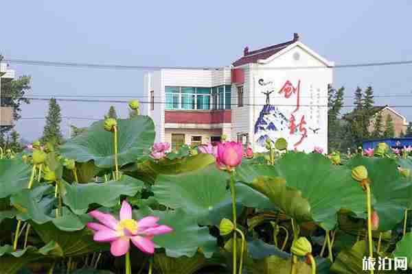 2019如皋平園池荷花節6月22日開啟