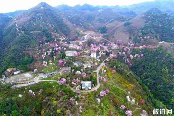 2019汶川夏季旅游優惠政策 免費優惠景點信息匯總 2019汶川夏季旅游優惠政策 免費優惠景點信息匯總