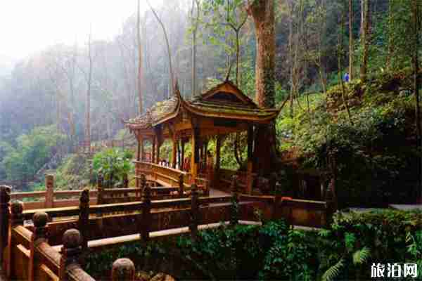 2019中高考準(zhǔn)考證青城山都江堰景區(qū)免票游玩信息