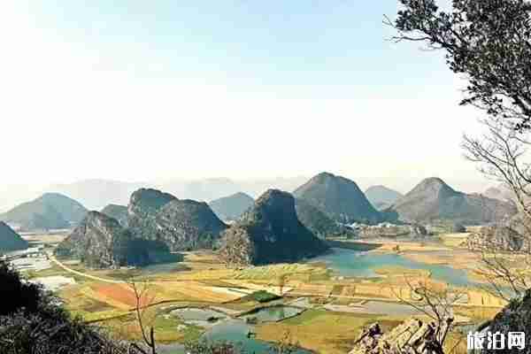 2019普者黑荷花開了嗎+觀賞攻略 2019普者黑荷花開了嗎+觀賞攻略