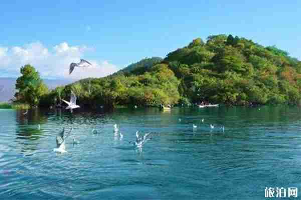 2019暑假四川景點優惠信息匯總 2019暑假四川景點優惠信息匯總