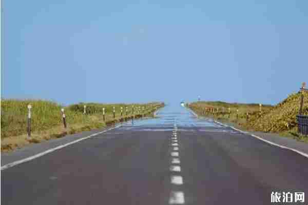 日本風(fēng)物詩(shī)是什么意思 日本夏季風(fēng)物詩(shī)有哪些 日本風(fēng)物詩(shī)是什么意思 日本夏季風(fēng)物詩(shī)有哪些