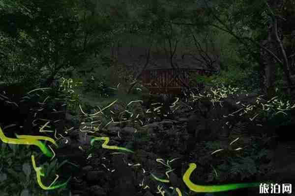 日本螢火蟲的象征意義 日本大阪螢火蟲觀看地點推薦