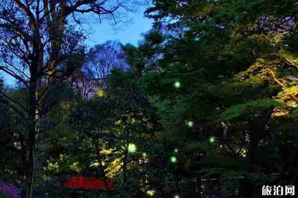 日本看螢火蟲的地方推薦+攻略 日本看螢火蟲的地方推薦+攻略