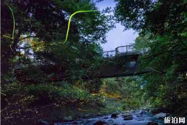 日本看螢火蟲的地方推薦+攻略 日本看螢火蟲的地方推薦+攻略