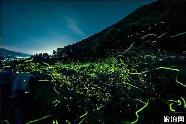 日本看螢火蟲的地方推薦+攻略 日本看螢火蟲的地方推薦+攻略