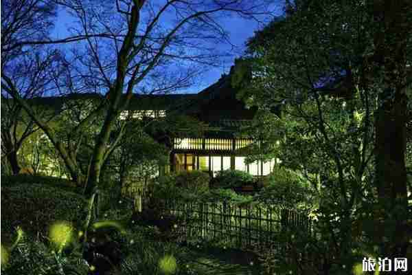 日本看螢火蟲的地方推薦+攻略 日本看螢火蟲的地方推薦+攻略