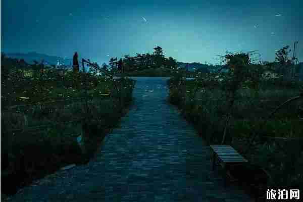 重慶看螢火蟲的月份 重慶周邊看螢火蟲的地方推薦 重慶看螢火蟲的月份 重慶周邊看螢火蟲的地方推薦