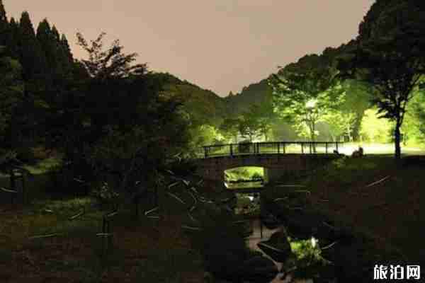 日本螢火蟲觀看時節(jié) 日本九州螢火蟲觀看地點推薦