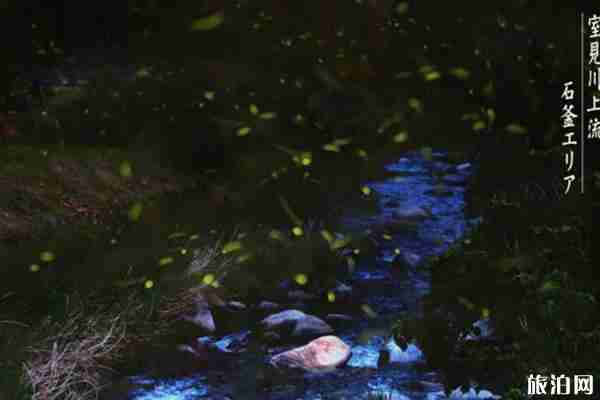 日本螢火蟲觀看時節(jié) 日本九州螢火蟲觀看地點推薦