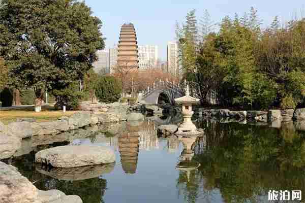 5天西安游玩花費多少錢