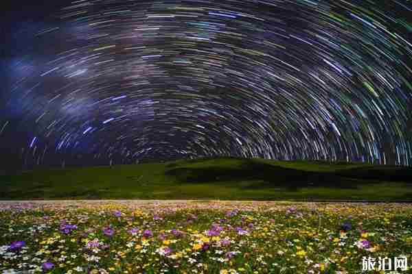 2019俄木塘花海最佳時間+怎么樣 2019俄木塘花海最佳時間+怎么樣