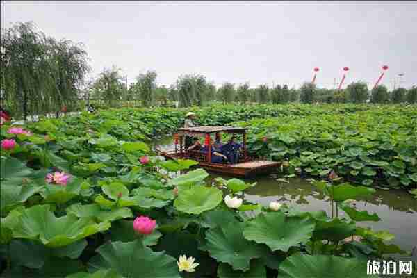 2019南通鄉(xiāng)村旅游節(jié)6月22日開啟 附活動時(shí)間安排