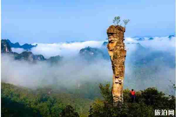 貴州避暑旅游線路整理推薦