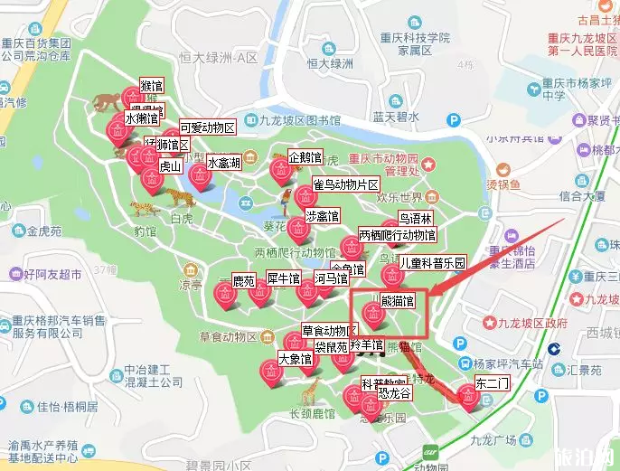 重慶動物園有熊貓嗎 2019重慶動物園門票優(yōu)惠政策