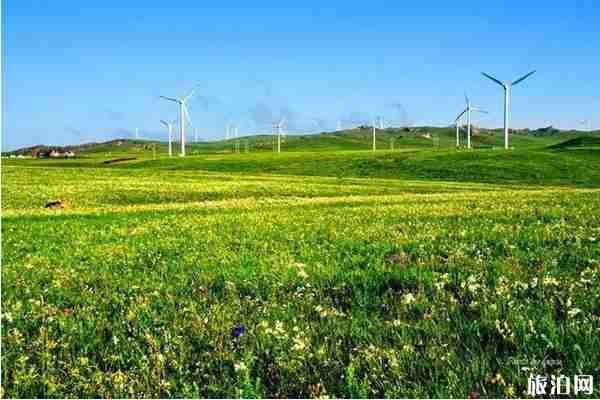 內(nèi)蒙古避暑最好的地方推薦 內(nèi)蒙古避暑最好的地方推薦