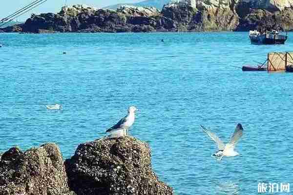 沈陽周邊海島哪個好玩 沈陽周邊海島哪個好玩