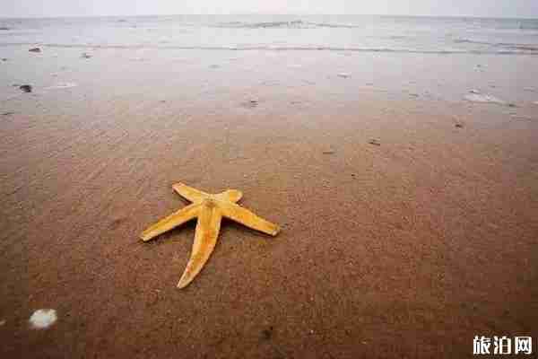 沈陽周邊海島哪個好玩 沈陽周邊海島哪個好玩