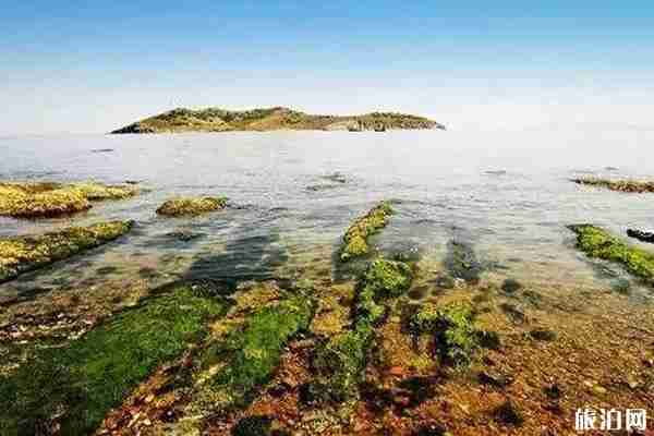 沈陽周邊海島哪個好玩 沈陽周邊海島哪個好玩