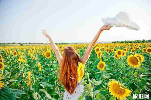 2019年夏季北海道六天自由行攻略