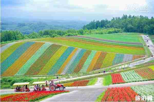 2019年夏季北海道六天自由行攻略
