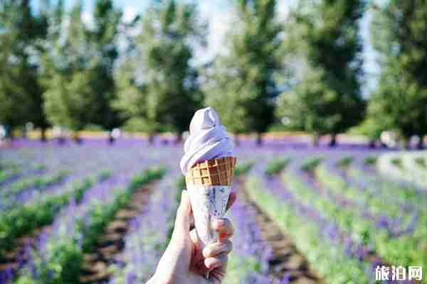 2019年夏季北海道六天自由行攻略