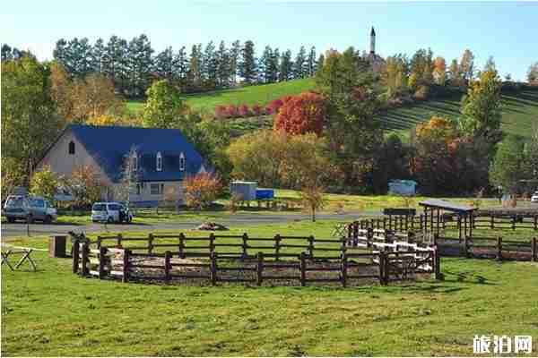 2019年夏季北海道六天自由行攻略