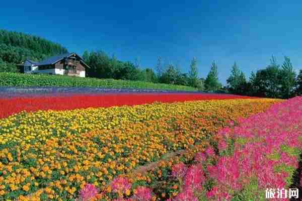 2019日本夏季賞花時(shí)間+地點(diǎn)+介紹