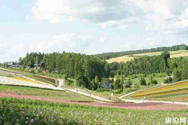 2019日本夏季賞花時(shí)間+地點(diǎn)+介紹