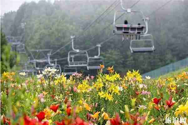 2019日本夏季賞花時(shí)間+地點(diǎn)+介紹