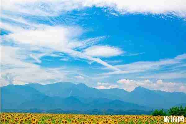 2019日本夏季賞花時(shí)間+地點(diǎn)+介紹