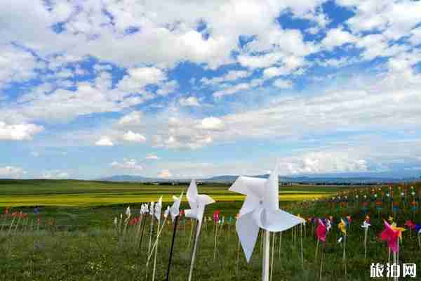 2019伊犁天马国际旅游节活动攻略 2019伊犁天马国际旅游节活动攻略