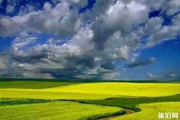 2019伊犁天马国际旅游节活动攻略 2019伊犁天马国际旅游节活动攻略